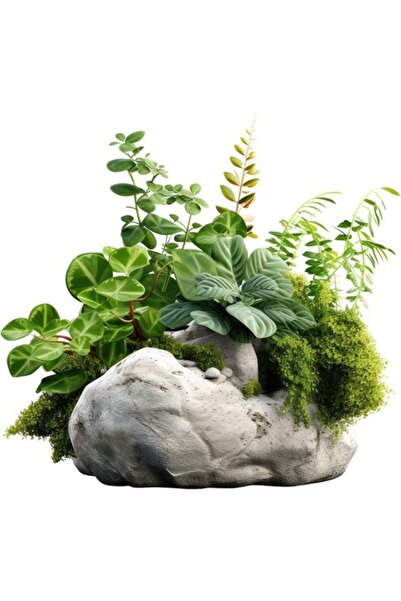 OEM Autocolant decorativ, iarbă și piatră, verde