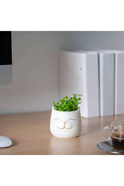 Vog und Arths Plastic decoration - cat head - 9 x 14 cm - 3 types