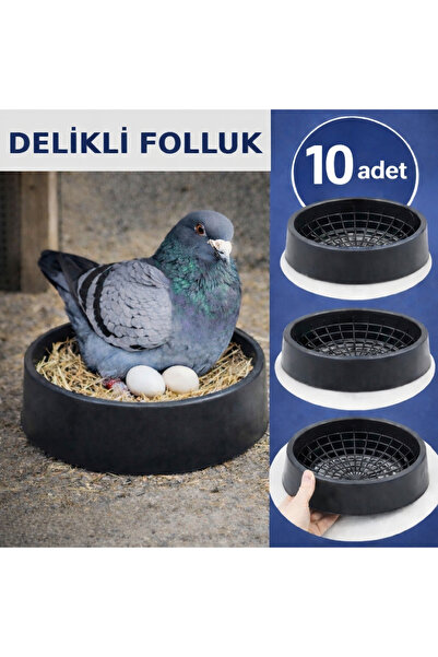 AN-GA AVM Güvercin Delikli Folluk, 10 Adet Delikli Güvercin Folluğu Pıgeon kü...