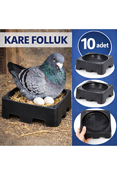 AN-GA AVM Güvercin Kare Folluk, 10 Adet Kare Güvercin Folluğu Pıgeon Kümes ek...