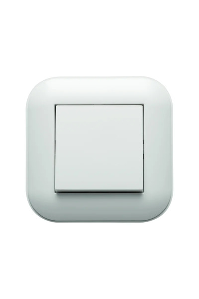 OEM Intrerupator simplu Ovivo Loft, clasic, IP20, alb