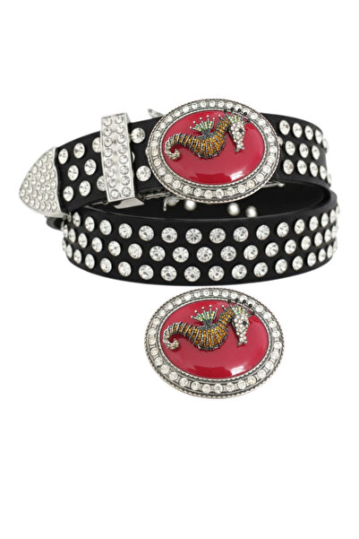 targay Belt with Full Stones on It