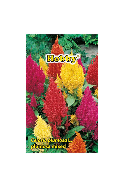 OEM Seminte flori de primavara, creasta cocosului, amestec culori, Hobby, 0.2 g