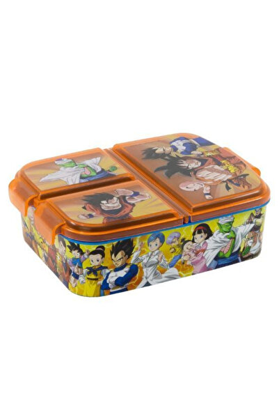 Stor Cutie sandwich dreptunghiulară cu mai multe compartimente 19.5x16.5x6.7 ...