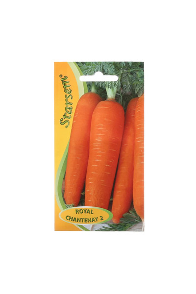 OEM Σπόροι λαχανικών, καρότο Royal Chantenay, Starsem