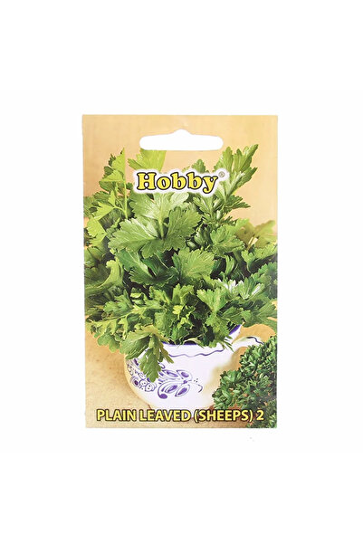 OEM Seminte plante aromatice, patrunjel frunza Sheeps, Hobby