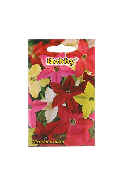 OEM Seminte flori de primavara, regina noptii, amestec culori, Hobby, 0.15 g