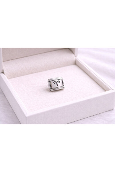 ZEMİRA HOME Steel Nomination Charm Aries Sign |   Stainless Steel Bracelet Ch...