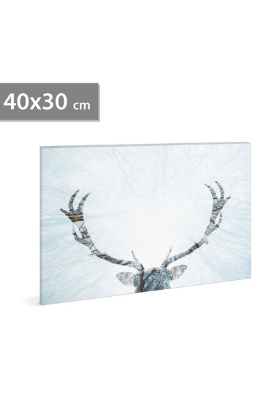 FAMİLY Tablou LED Craciun ren 40 x 30 cm, decor perete cu lumina alb cald, ba...