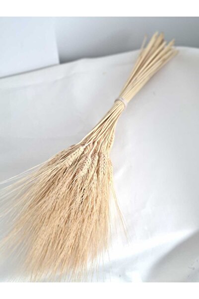 Birlik Doğal Kurutulmuş Altın Başak Demeti