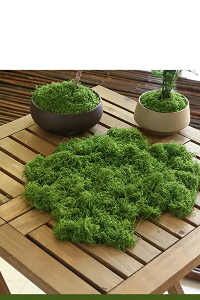 Generic 100g artificial green moss, suitable for crafts and home decor - an e...