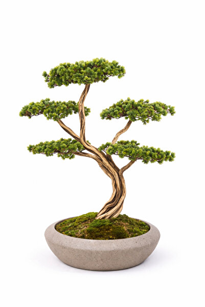 MA Zen Bonsai Dekoratif Ağaç