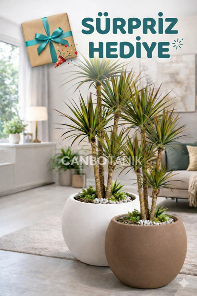 CANBOTANİK Salon Saksı 2 Lİ Saksı Küre Model Saksı 20 cm 9 Litre Beyaz ve Moc...