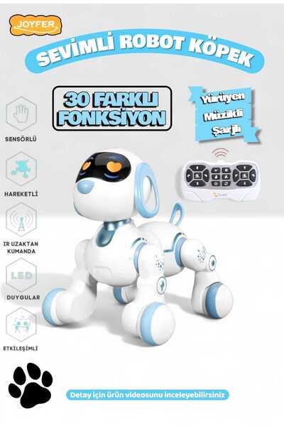 Joyfer Uzaktan Kumandalı Şarjlı Çok Fonksiyonlu Eğitici ve Öğretici İnterakti...