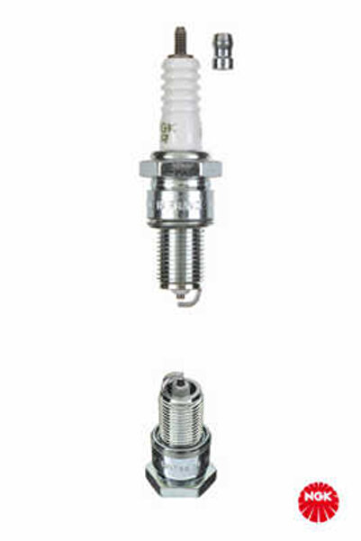 NGK Spark Plug 7281