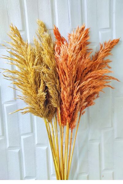 TROYA Şoklanmış Pampas Otu Turuncu-Sarı Kuru Çiçek 20 adet 120 cm