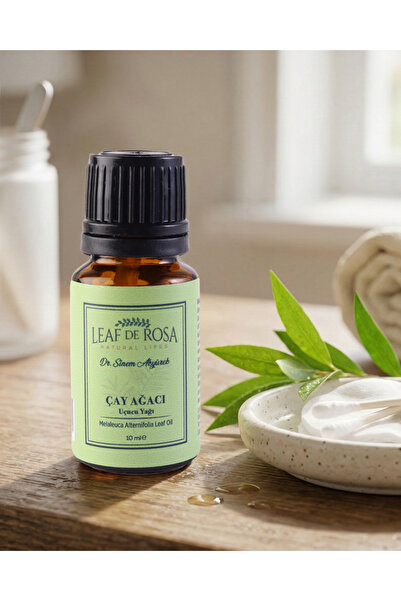 LEAF DE ROSA زيت شجرة الشاي العطري 10 مل - نقي وطبيعي 100% - مضاد لحب الشباب ...