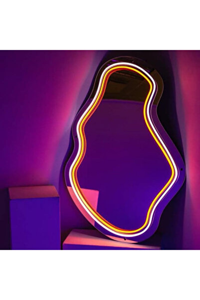 Slasa Designer LED Neon Mirror Light 30x60 cm Multicolor Decorative Mirror wi...
