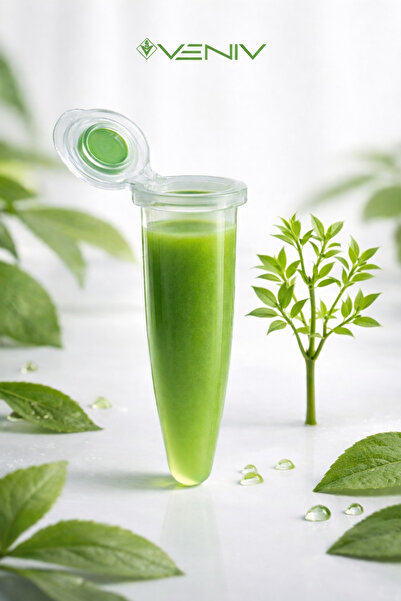 VENİV 3V Dal Aktivator Macunu – Bitkilerde Sürgün ve Dal Oluşumunu Destekleyi...