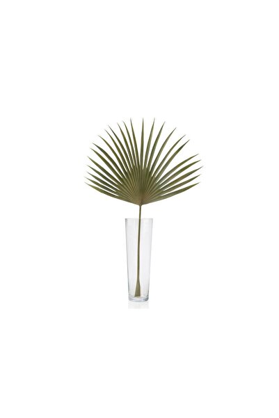 Midas Furniture نبات صناعي بالم 107 سم