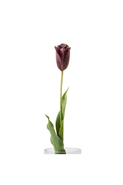 Midas Furniture Artificial flowers, beige tulip, 72 cm