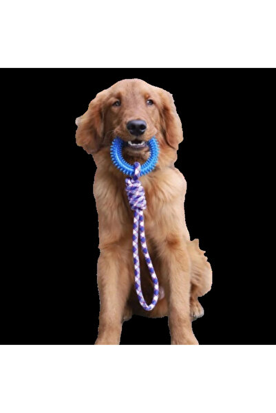 Mixpet Interactive Pull Rope Dog Toy 43 cm
