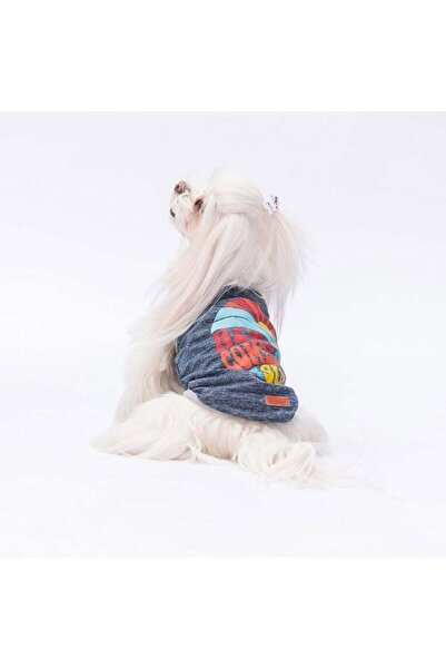 Pawstar Lacivert The Sun T-Shirt Küçük Irk