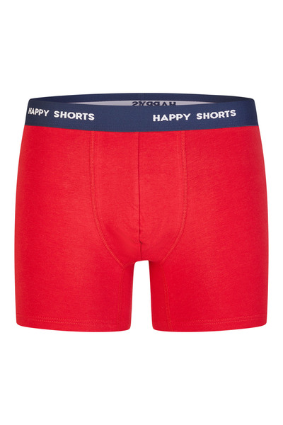Happy Shorts Boxer Christmas
