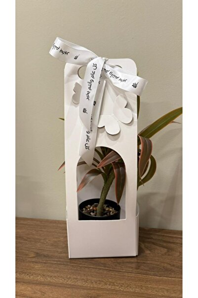 Gifts World توزبعات العيد والمناسبات شجر صناعي زينة صغير مع حامل كرتوني ابيض ...