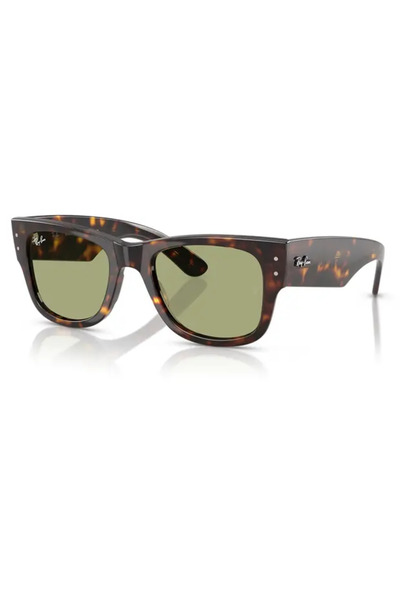 Ray-Ban LUXOTTİCA RAY-BAN Propionat Unısex Güneş Gözlüğü 0RB0840S 902/4E51 HN