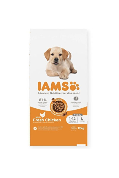 Iams Hrana catelusi talie mare Advanced Nutrition Puppy Large Breed Chicken 1...