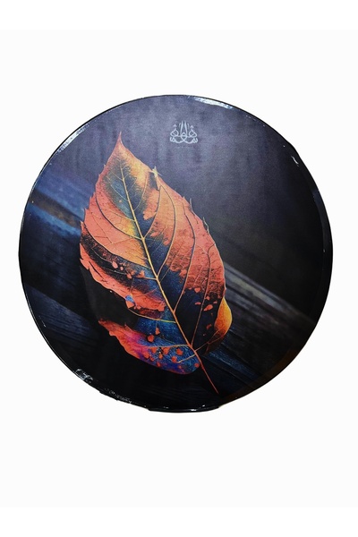 Bircanmüzik Desenli Baskılı Zilli Erbane Def