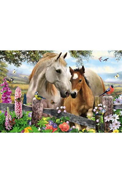 Schmidt Παζλ 150 κομμάτια - Άλογο και Πουλάρι (Schmidt-56421)