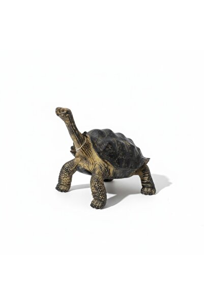 TUFY TOYS UZUN BOYUNLU KARA KAPLUMBAĞASI-DOĞA TEMALI HAYVAN FİGÜR OYUNCAK