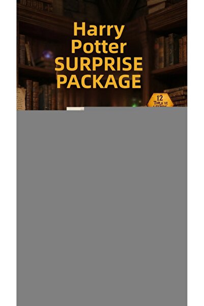 lowell home Harry Potter Surprise Figure Collection Box Toy