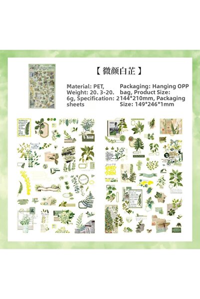 İthal E5-2 autocolant vintage aurit pentru animale de companie