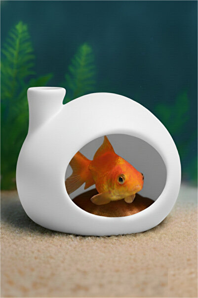 Balık Yuvası ✱ Testi ✱ Japon , Tetra , Çöpçü , Lepstes , Beta Uyun ✱ KarmaRenk ✱ 8*8 MiniBoy