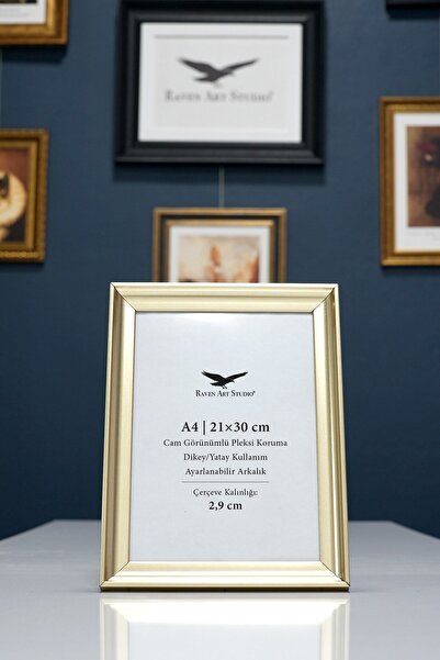 Raven Art Studio Pyramid A4-21x30cm Platinum Picture Foto Document Poster Ram...