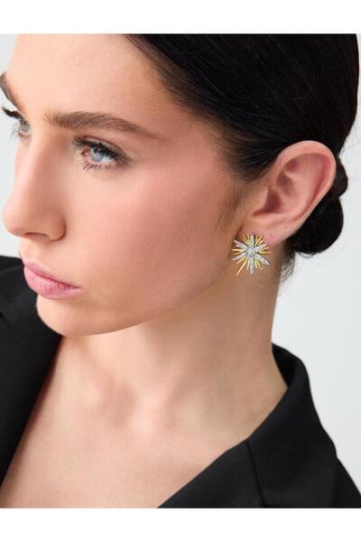 Jimmy Key Gümüş Rengi İkili Yıldız Figürlü Küpe