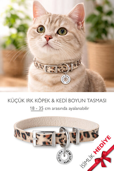 pasiole Kedi-köpek Boyun Tasması İsimlik Hediyeli Ayarlanabilir Kedi & Küçük ...
