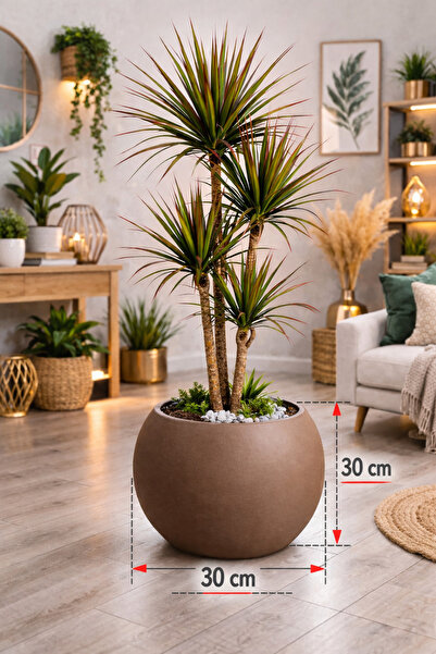 CANBOTANİK Yuvarlak Saksı Salon Saksı 30 cm Boş saksı plastik çiçek saksısı s...