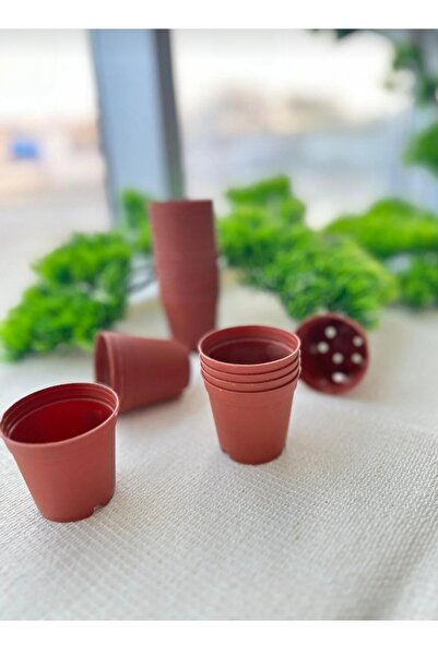 MİN & MİND Ramazan Ayı hafızlık Hediyesi Bitki Ağaç sevgisi için bir fidan Ad...