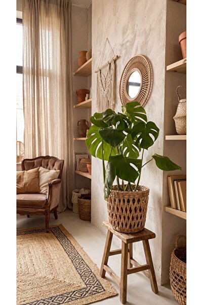 HAKİCİ Hasır saksı modeli çap ev balkon bahçe dekorasyonu modeli