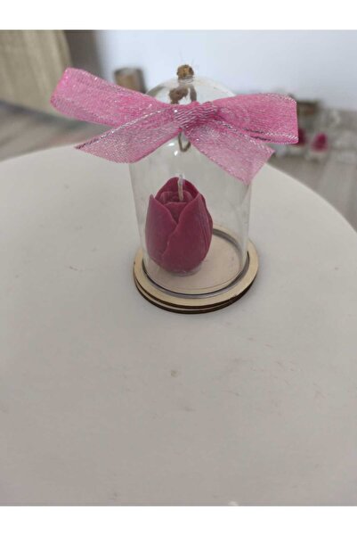 Roots&Flame Tulip Candle Carved in Plastic Globe – Spring Gift | Roots & Flame