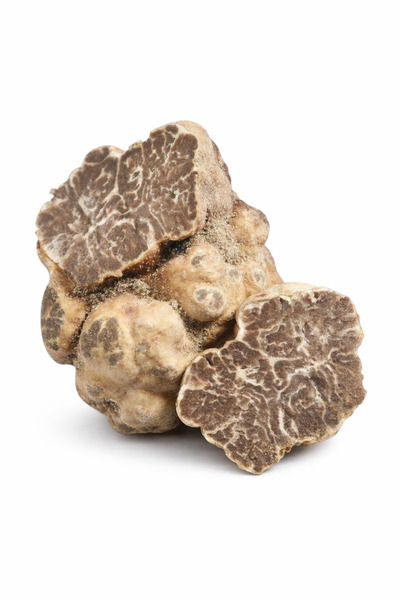 gurme trüf Taze Beyaz Trüf Mantarı Borchii (Bianchetto) 20 gr