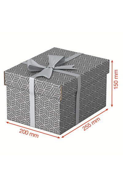 Esselte Set de 3 cutii de arhivare din carton 250 x 200 x 150 mm gri Home