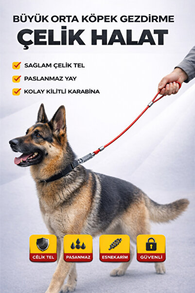 PADRİ Çelik yaylı Köpek gezdirme bağlama halatı 1 metre