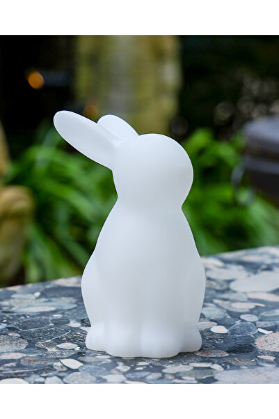 Venus Lights Bunny RGB Kablosuz Masa Lambası