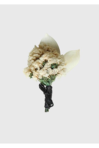 Ramsey Αξεσουάρ μπεζ γιακά