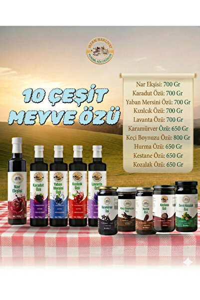 irfan bakliyat Meyve özü çeşitleri